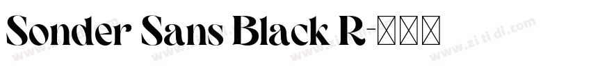 Sonder Sans Black R字体转换 Sonder Sans Black R字体转换